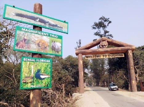 Kheri: Flood and rain extended the tourism season of Dudhwa