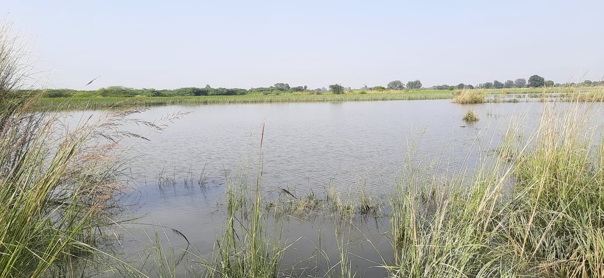 Flood like situation in 15 villages due to rise in river water