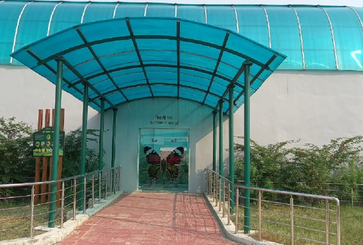Gorakhpur Zoological Park Butterflies not be kept due to flaw in design of butterfly house