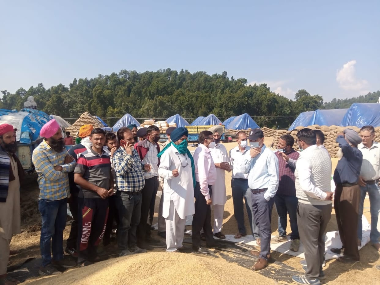 dc sirmaur arrived in haripur tohana dhan purchaging center in ponta and listen problem of farmers