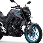 2022 Yamaha MT 25