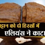 अल नसला