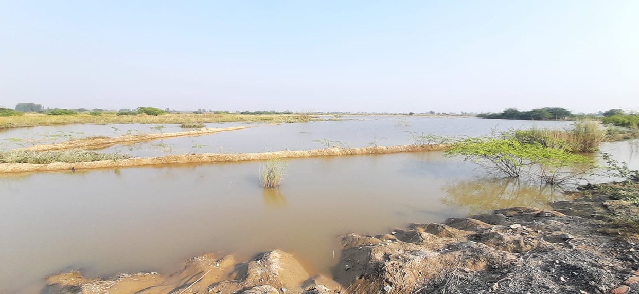 Pachdwara of Kakwan canal opened, the water of Pandu river started decreasing in 15 villages