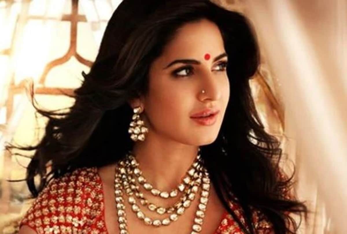 Katrina-vicky kaushal Net Worth: Katrina and Vicky will soon get married, their net worth and collection of expensive vehicles will blow your mind