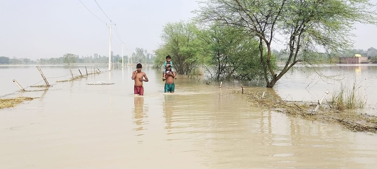 flood