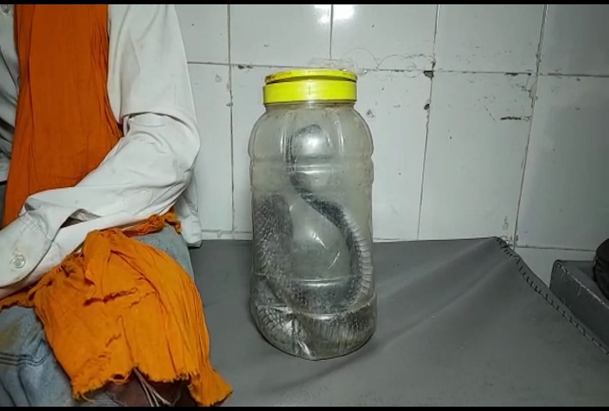 Man reaches hospital with a Cobra in hand after getting bitten by snake