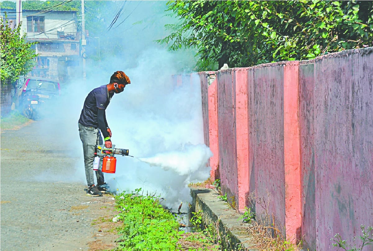 Dengue mosquitoes and larvae found in Govindsar Kathua by central team