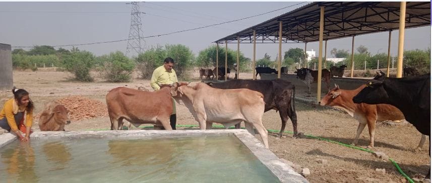 Hathras: Operation of Gaushala started in Mahamayi Salavatnagar