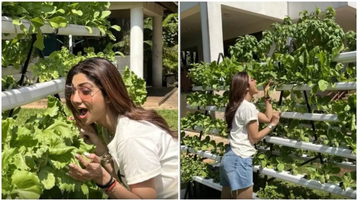 viral video: Shilpa Shetty Straight from the farm, Food that doesn’t do any harm