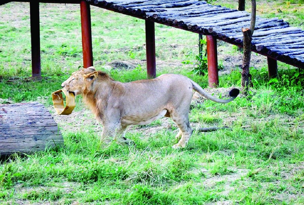CM Yogi Adityanath inaugurates eco tourism circuit