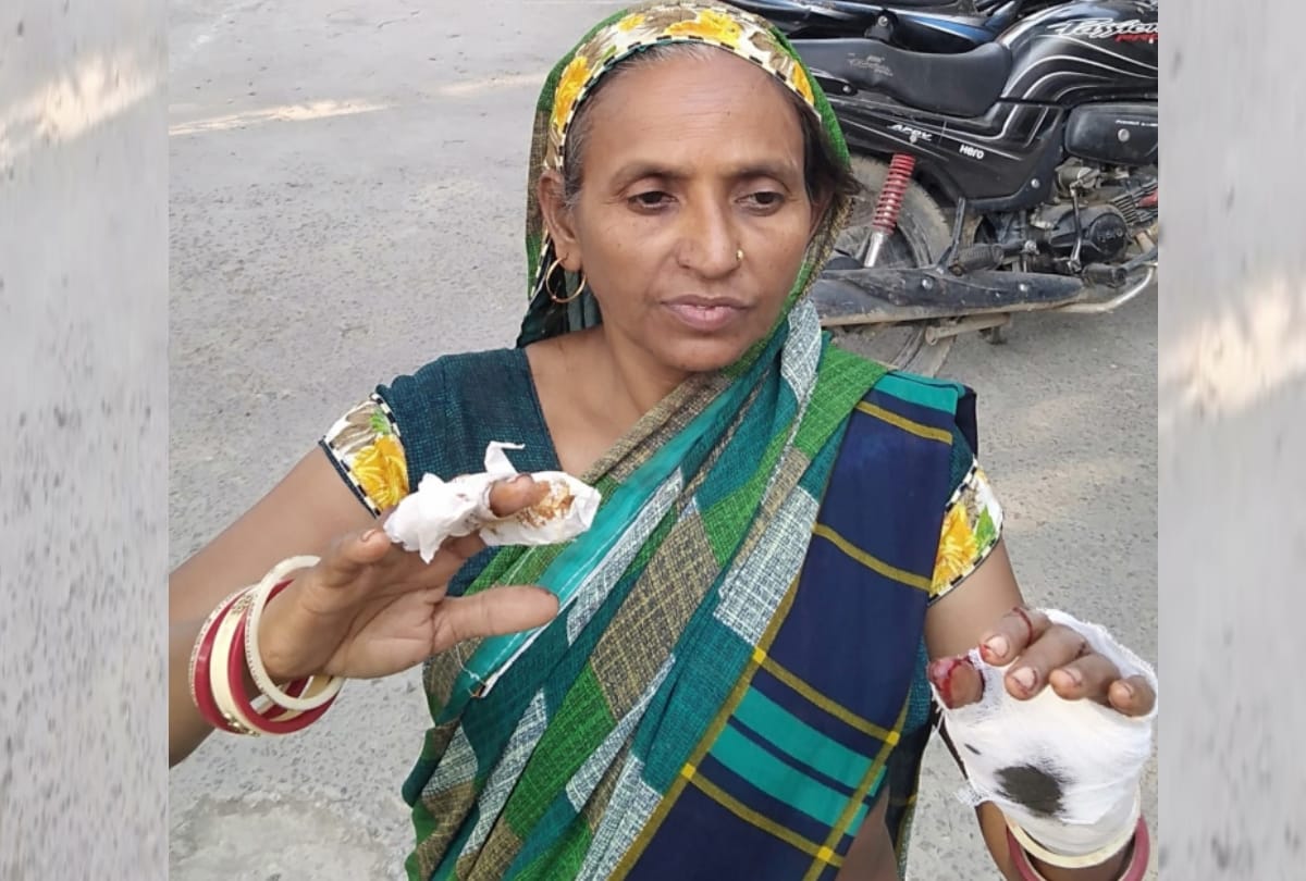 Well done Deepa: Even after being injured with a knife, the miscreant was caught, the woman clashed with the miscreant who entered the house, still did not leave the knife