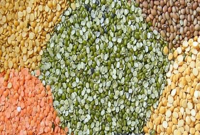 How to find adulteration in pulses know the methods here