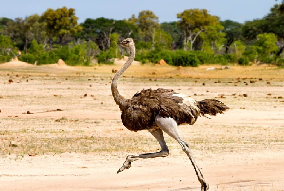 shocking and interesting facts about world you must know