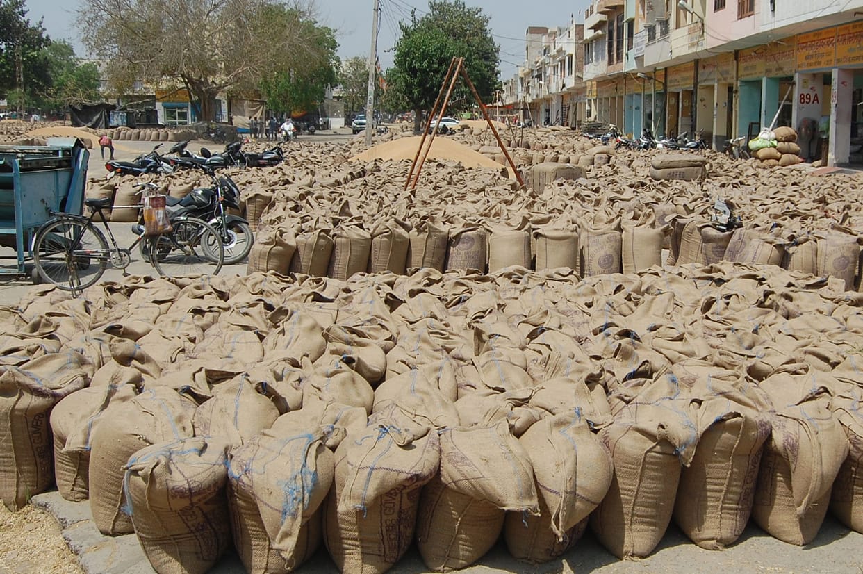 This time the bats and bats of farmers will remain in the paddy of Basmati Group