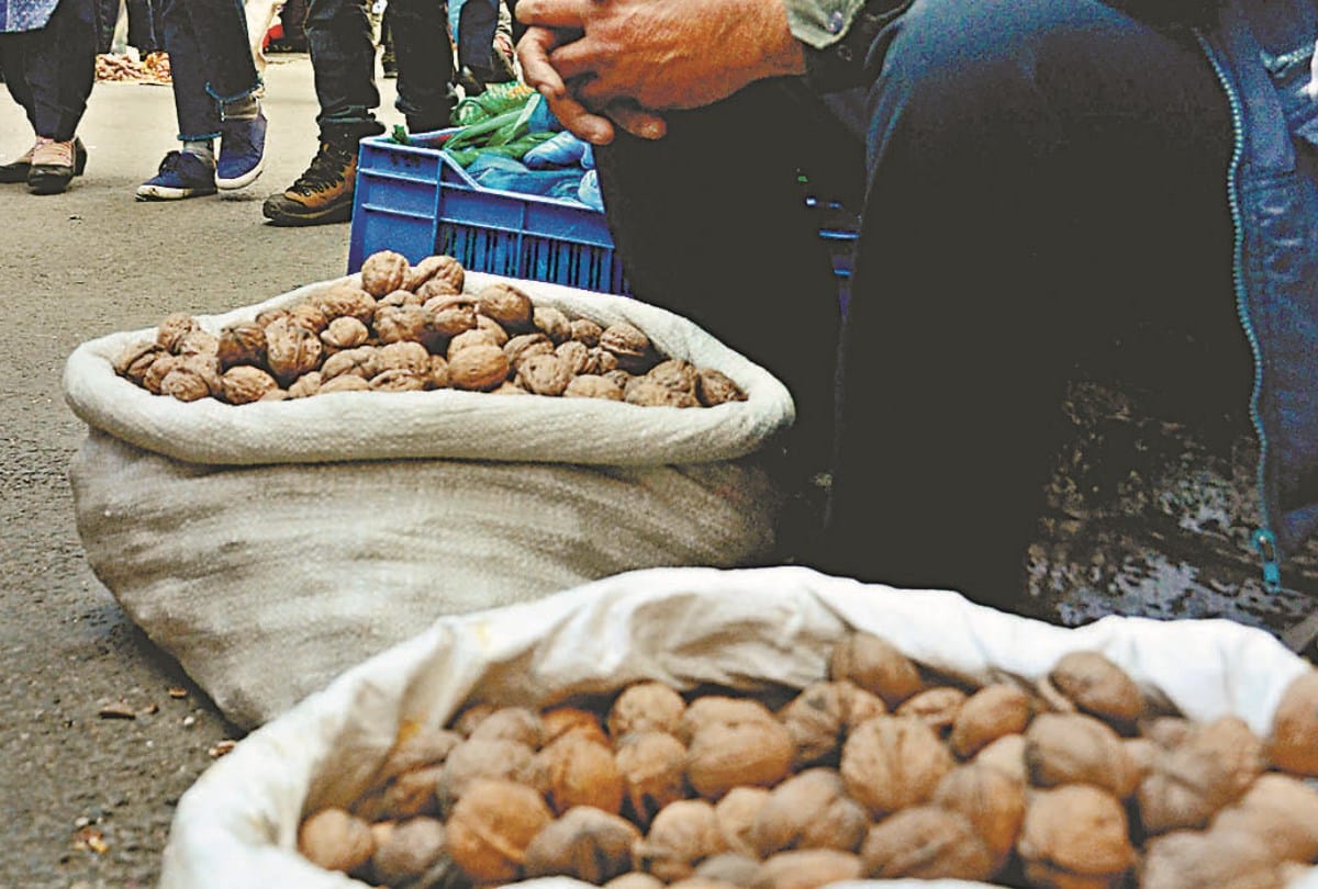 Himachal News: akhrot 400 rupee price per 1kg in shimla