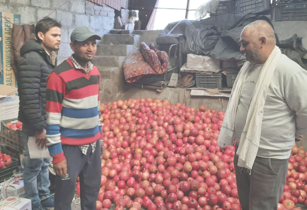Pomegranate prices jumped by ten rupees