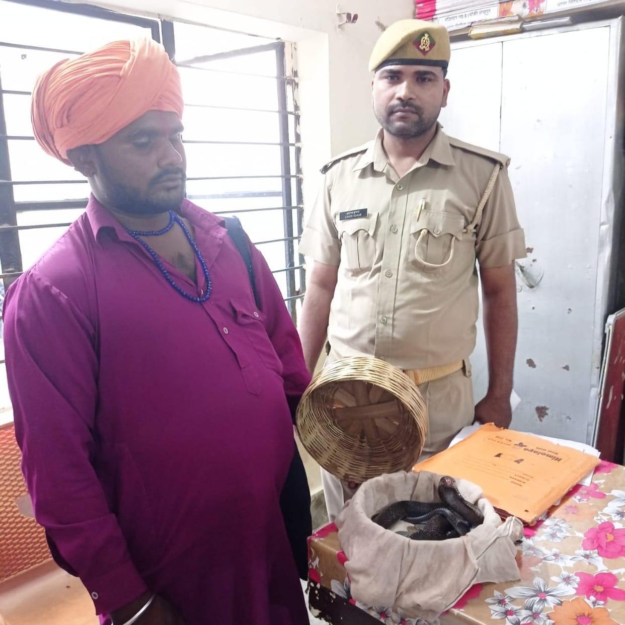 snake charmer caught with cobra