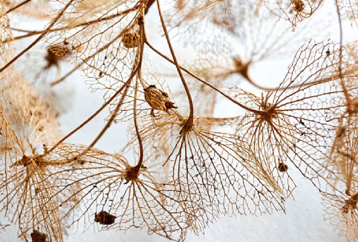 color therapy which color gives happiness