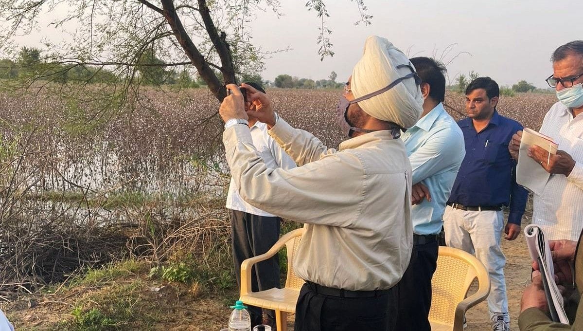 The Deputy Commissioner reached the fields and took stock of the crops affected by waterlogging