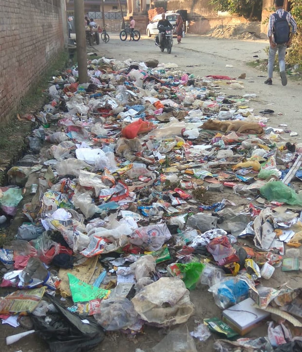 Safai Karamcharis on strike, city turned garbage