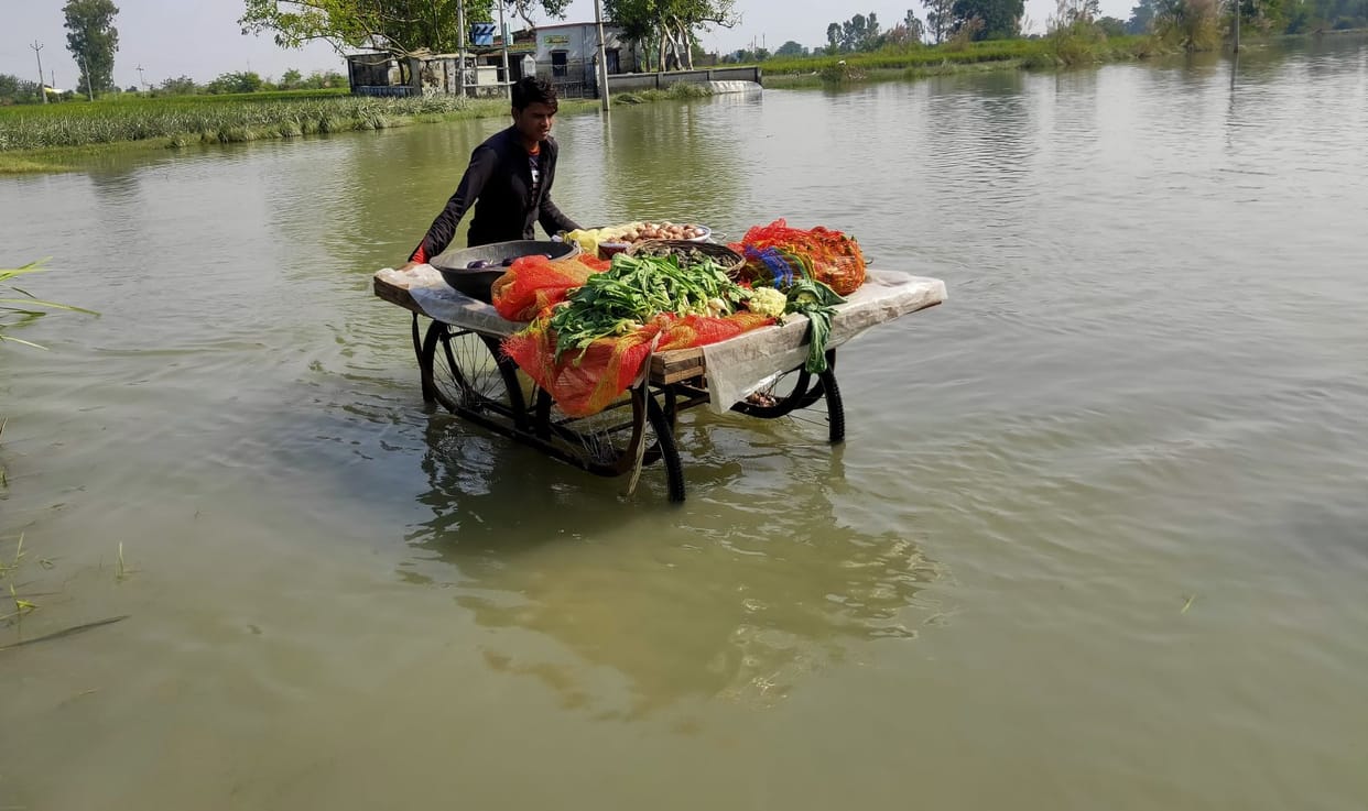badh pidit