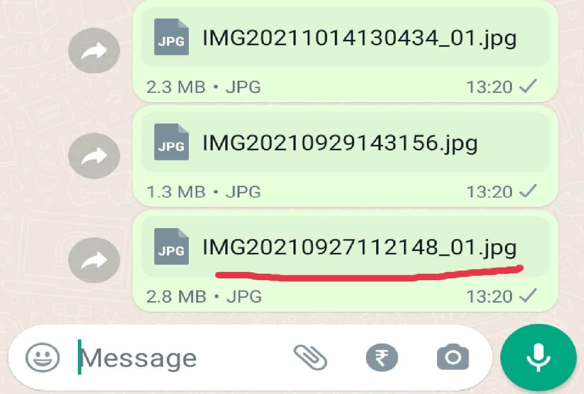 WhatsApp facts know about what are the secret numbers of WhatsApp documents, files and images