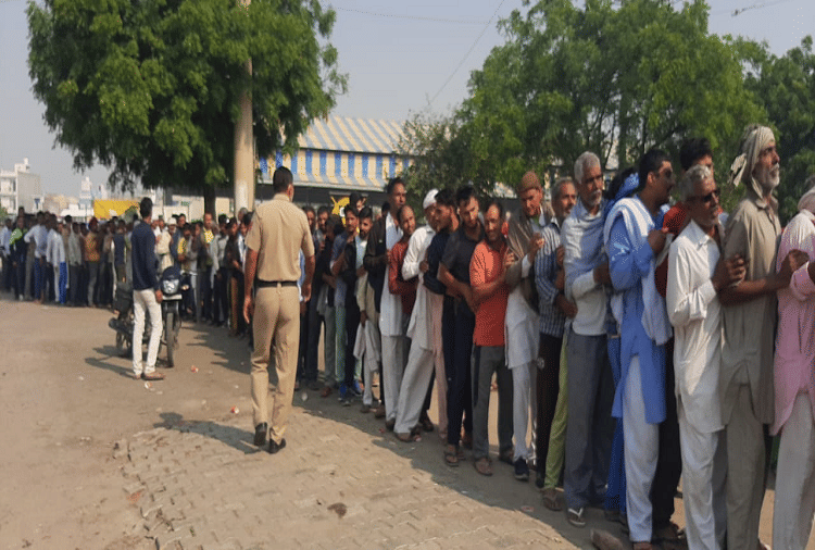 Farmers engaged in lines since morning for DAP fertilizer in Jhajjar