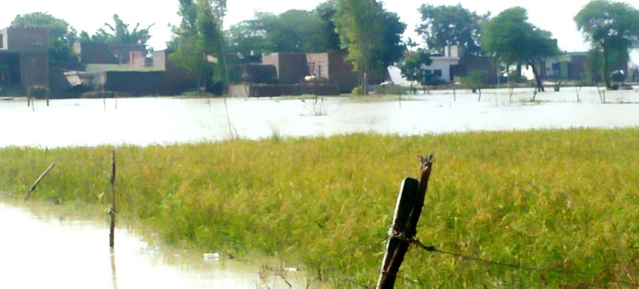 agricultural,Aspirations of farmers submerged in flood