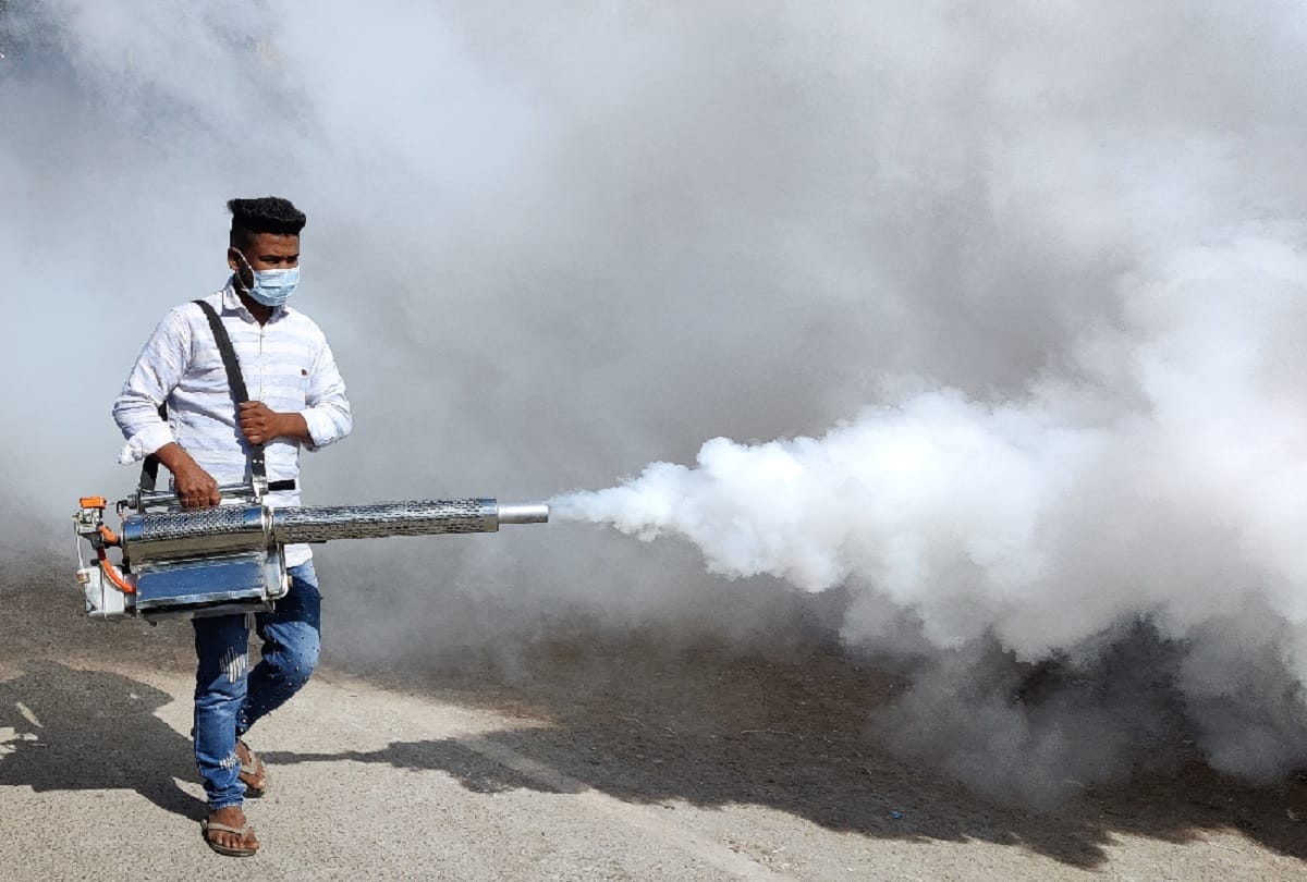 dengue in uttarakhand: these three districts have more dengue cases