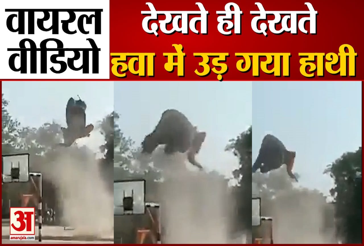 हाथी को उड़ता देख दंग हुए लोग