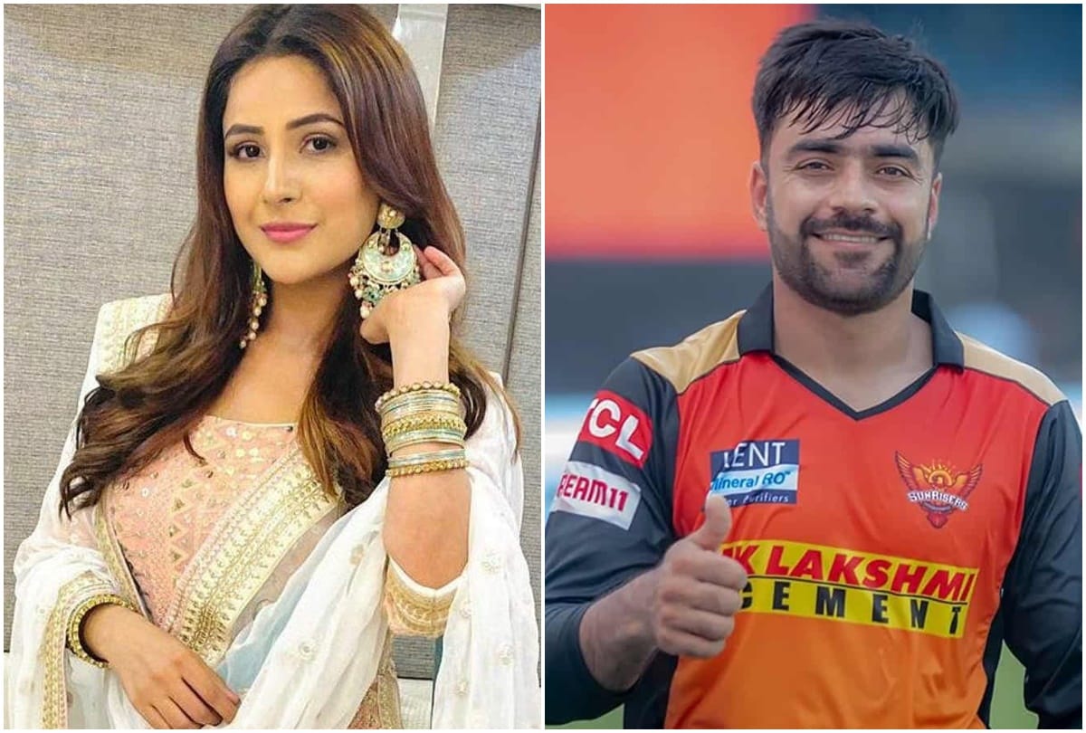 Social media: Cricketer Rashid Khan became emotional after listening to the song of Shehnaz Gill said may Allah give you strength