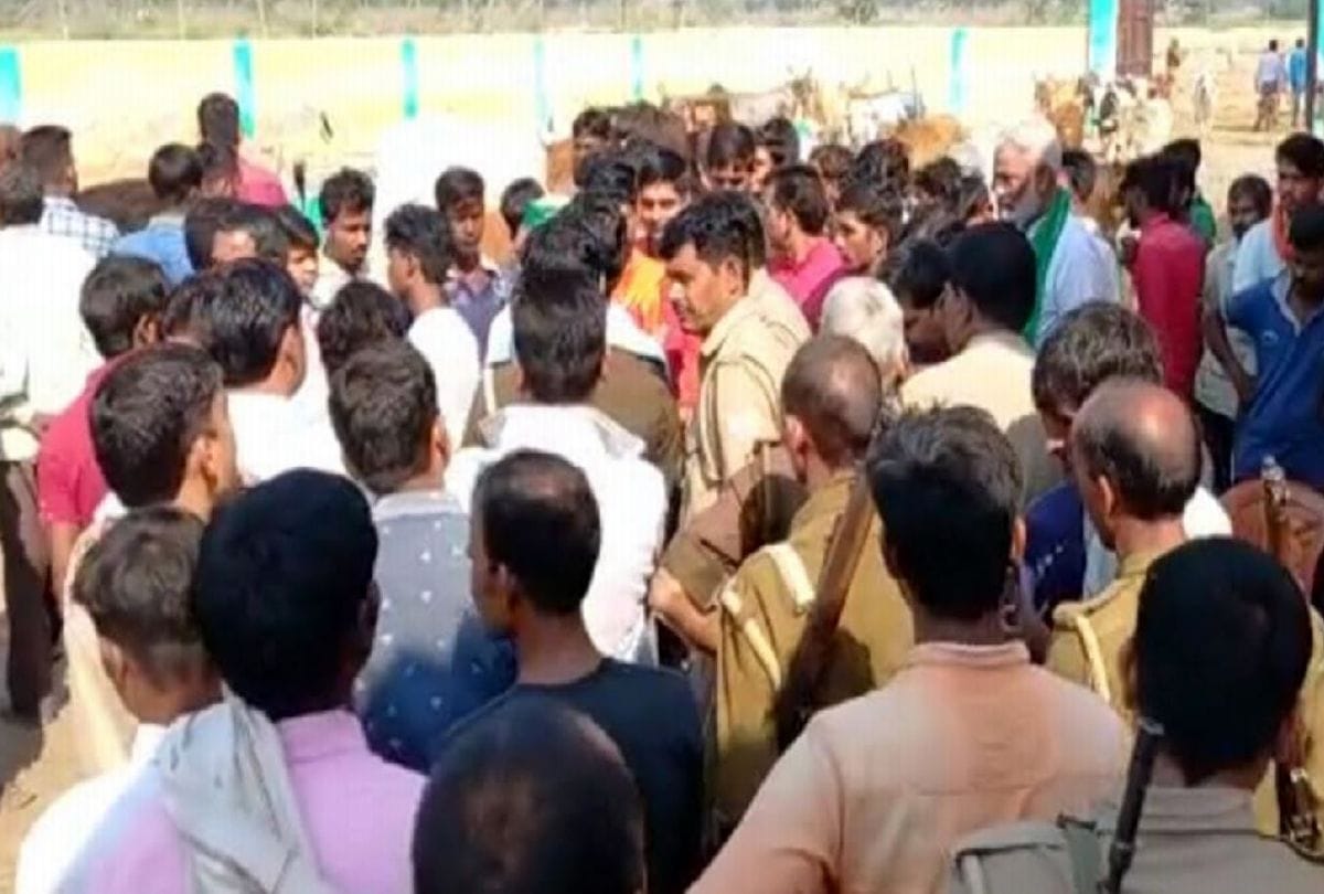 Uproar over the death of cow in the cowshed
