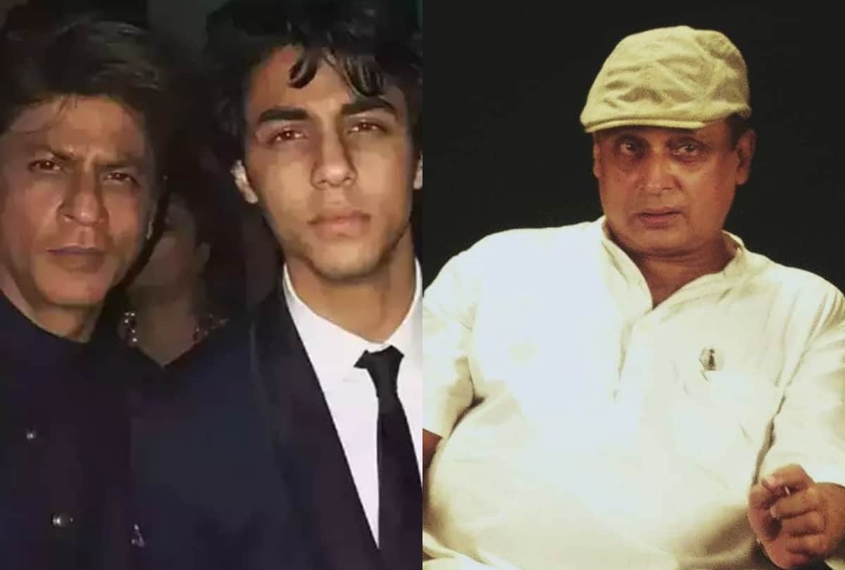 Drug case Shah Rukh Khan co actor Piyush Mishra react on Aryan Khan Bail