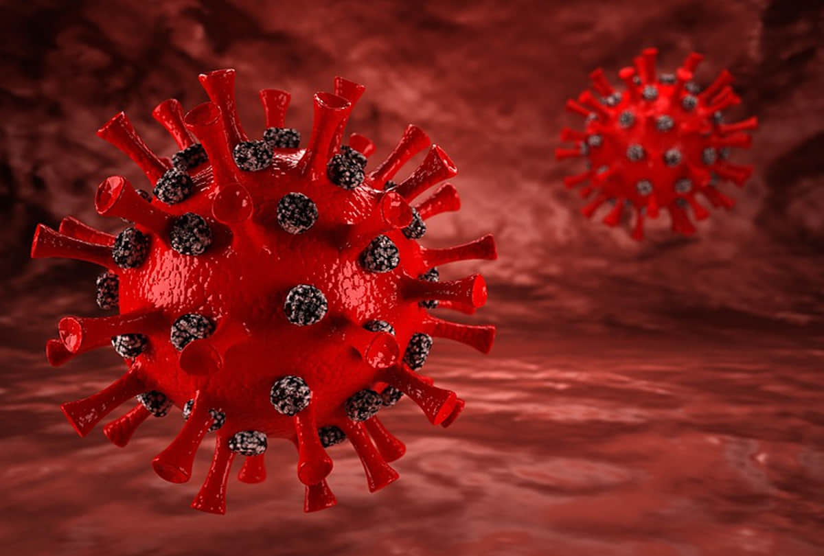 saint helena most safe place in the world Corona epidemic could not reach here till date know what is the reason behind it