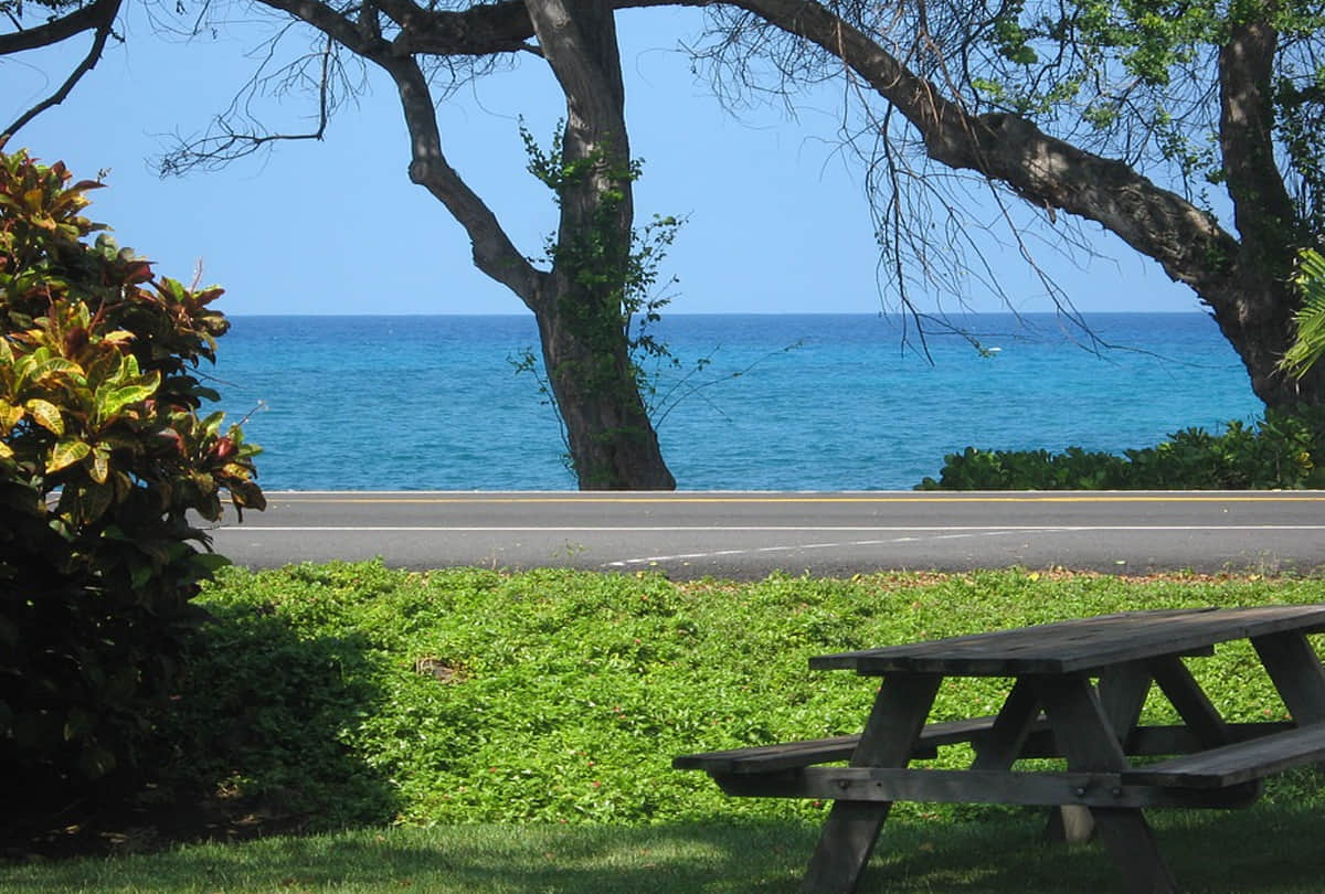 saint helena most safe place in the world Corona epidemic could not reach here till date know what is the reason behind it