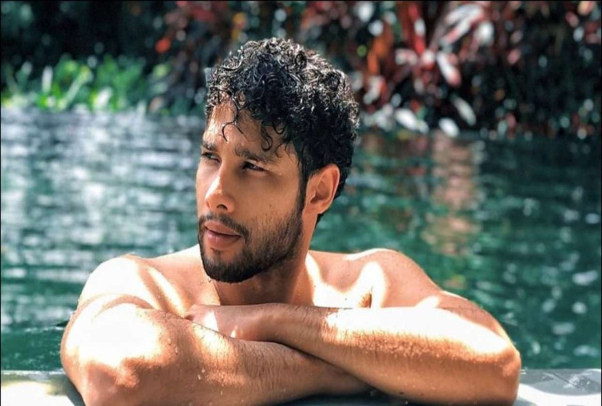 Siddhant Chaturvedi Birthday know lesser facts about gully boy mc sher