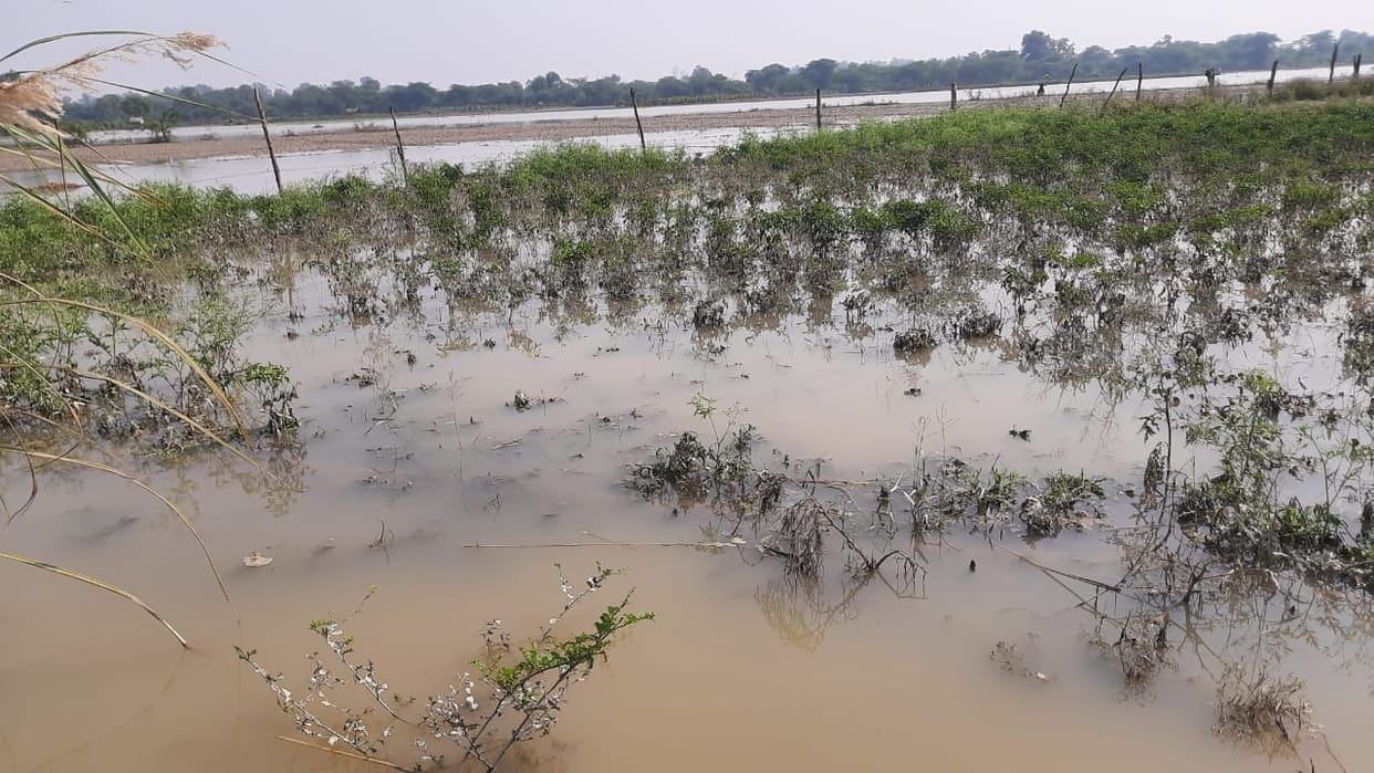 fathepur news,When the water of the flood descended, the scene of devastation was visible