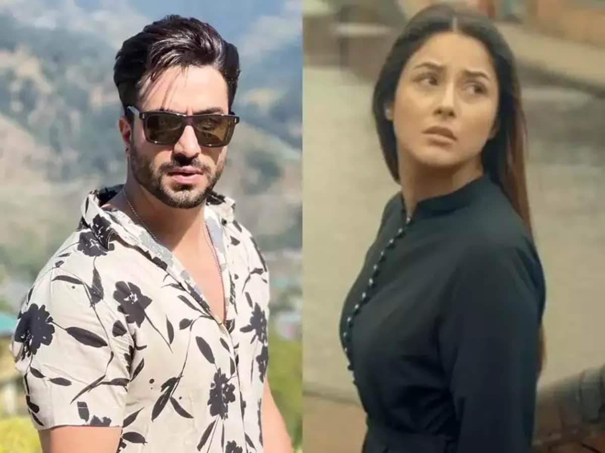 Tu Yaheen Hai: Shehnaaz Gill is getting trolled over Siddharth Shukla's tribute video, Aly Goni comes in support