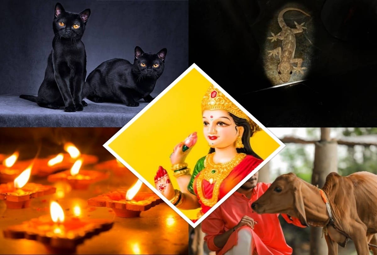 Diwali 2021 diwali pr dikhe ye 5 cheez If these five things are seen on diwali night it increase your gooduck