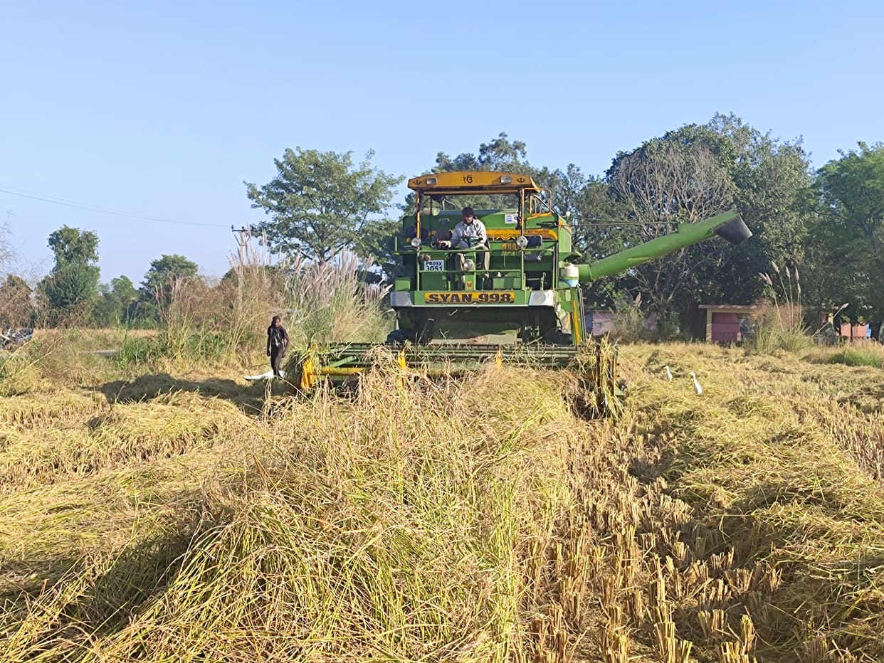 agriculture