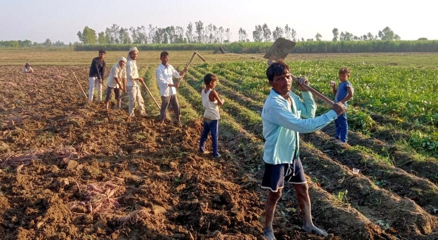 The fields are not empty yet, how to prepare for the fair
