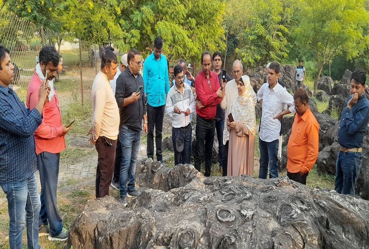 Tour operators were stunned to see crores of years old salkhan fossils park in sonebhadra