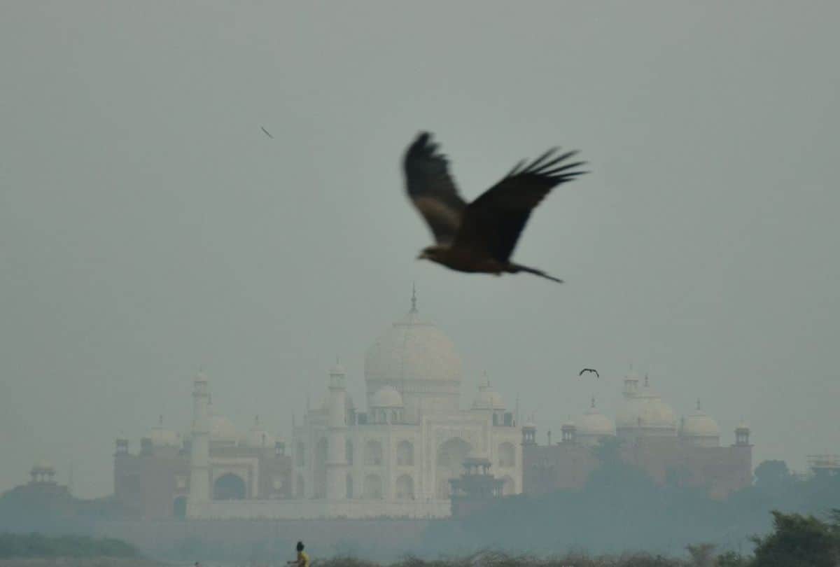 Agra Air Quality Index Today: Agra is the most polluted city on monday