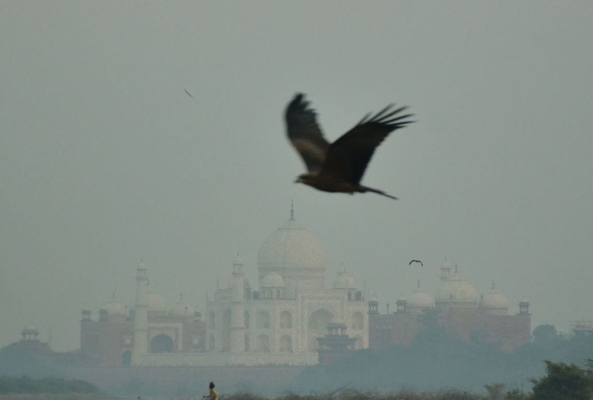 Agra Air Pollution Level News: Air Pollution Level Increasing in Agra