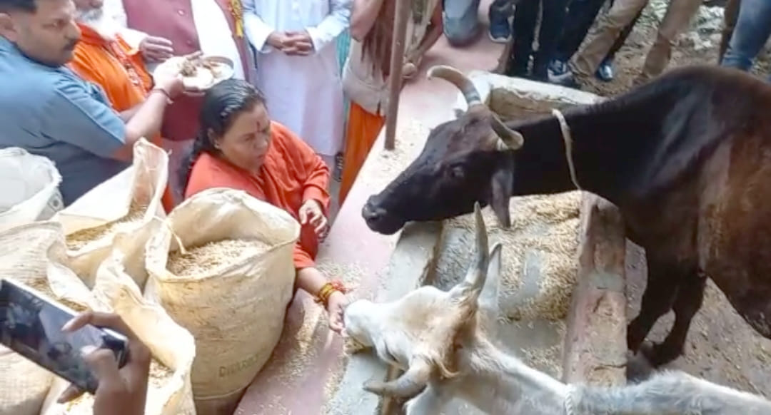 uma bharti