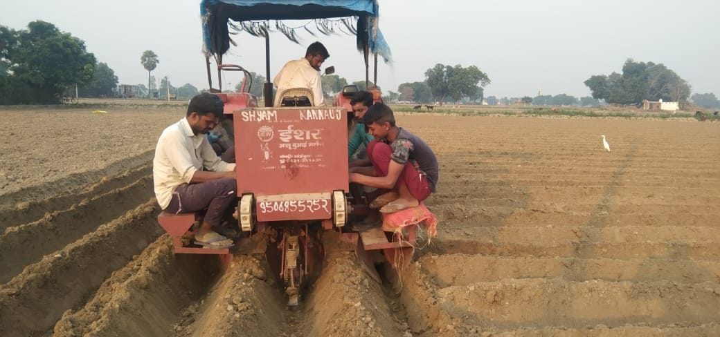 Weeping of manure, 25 percent sowing of potatoes