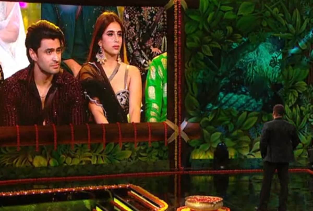 bigg boss 15 salman khan support rajiv adatia says to ieshaan sehgaal not him but miesha iyer started to talk about your character