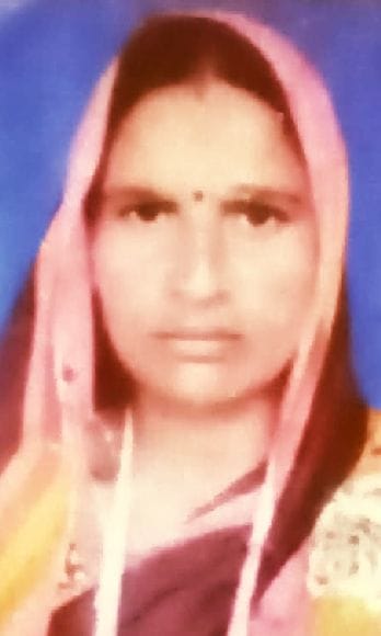 dengu