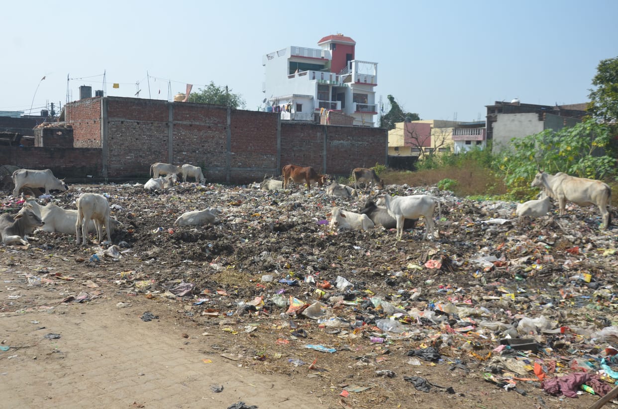 Dirt everywhere, the city in the grip of dengue