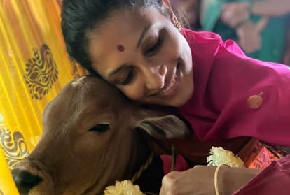 Diwali 2021 Nayannah Mukey was seen swinging a calf after cow worship, Diwali celebrations begin with Vasubaras